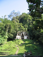 palenque - 80
