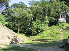 palenque - 82