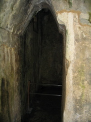 palenque - 86