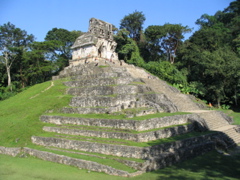 palenque - 88