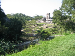 palenque - 92
