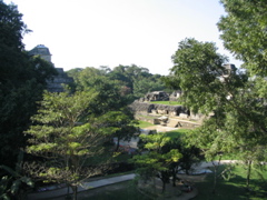 palenque - 95