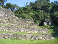 palenque - 101