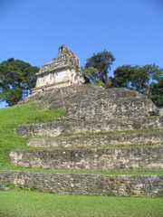 palenque - 102