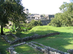 palenque - 106