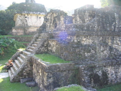 palenque - 113