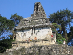 palenque - 116