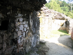 palenque - 132