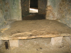 palenque - 136