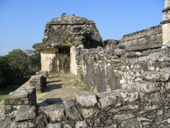palenque - 148