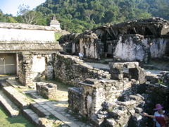 palenque - 151