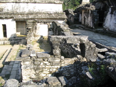 palenque - 154