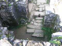 palenque - 155
