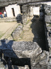 palenque - 156