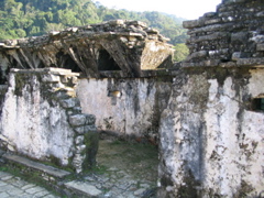 palenque - 159