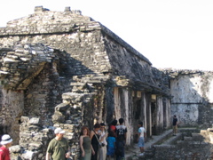 palenque - 162