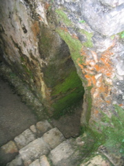palenque - 164