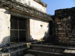 palenque - 175