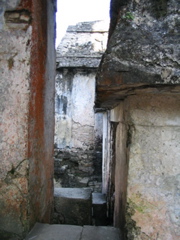 palenque - 181