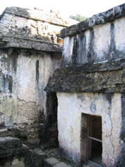 palenque - 184