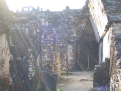 palenque - 191