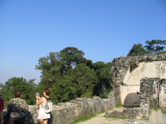 palenque - 193