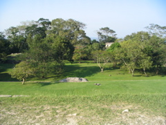 palenque - 195