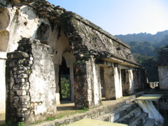 palenque - 199