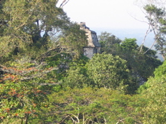 palenque - 202