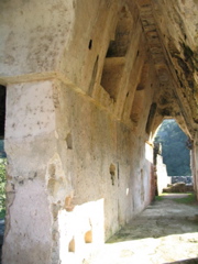 palenque - 204