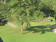 palenque - 210