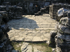 palenque - 219