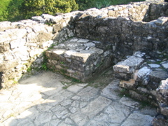 palenque - 221