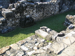 palenque - 222