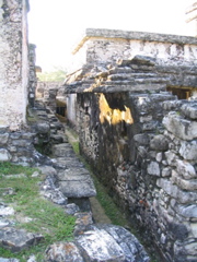 palenque - 228
