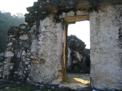 palenque - 229
