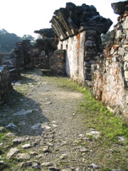 palenque - 230