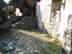 palenque - 232