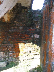 palenque - 233