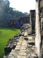 palenque - 234