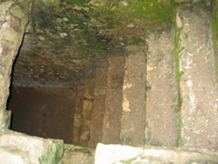 palenque - 235