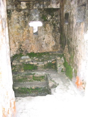 palenque - 236