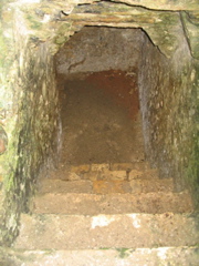 palenque - 237