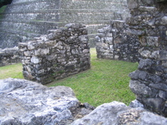 palenque - 240