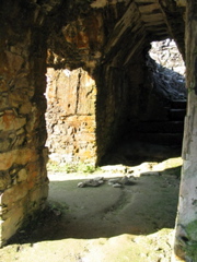 palenque - 241
