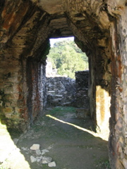 palenque - 242