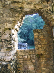 palenque - 243