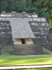 palenque - 247