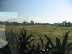 TEOTIHUACAN - 1