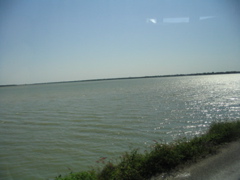 golfe mexique - 16